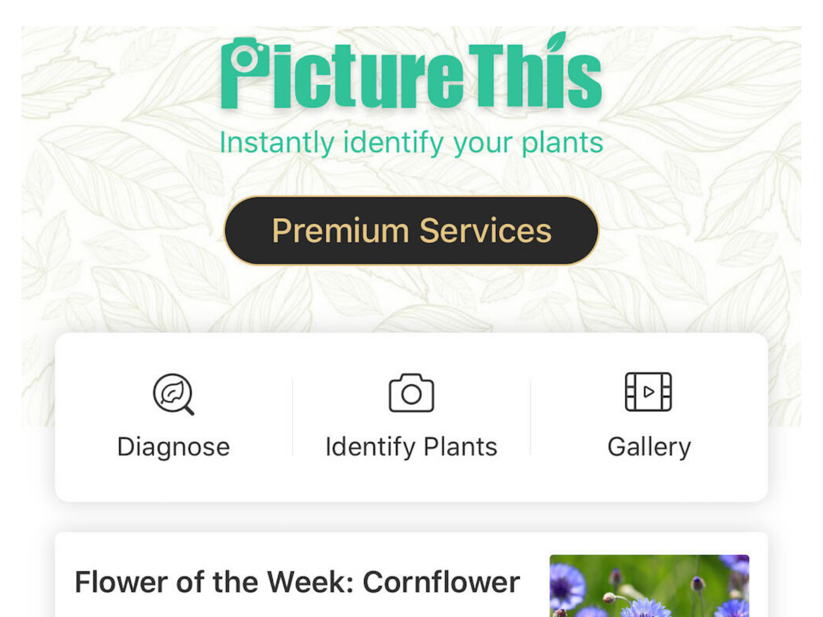 My Favorite Plant Identification App - Sunny Side Up Living Blog