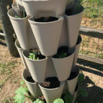 GreenStalk planter full