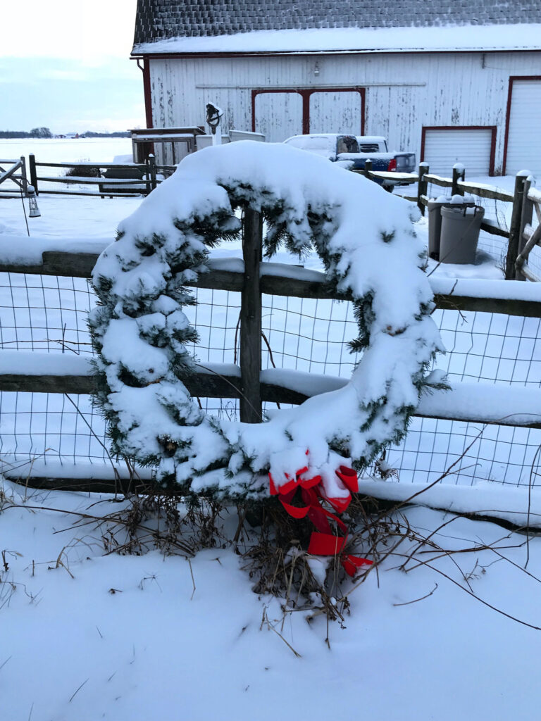 wreath in winter