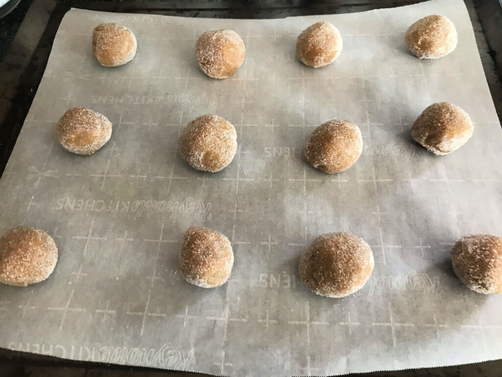 rolled molasses sugar cookie dough
