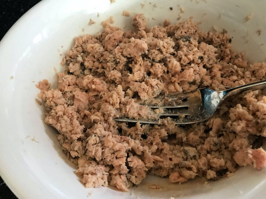 canned salmon