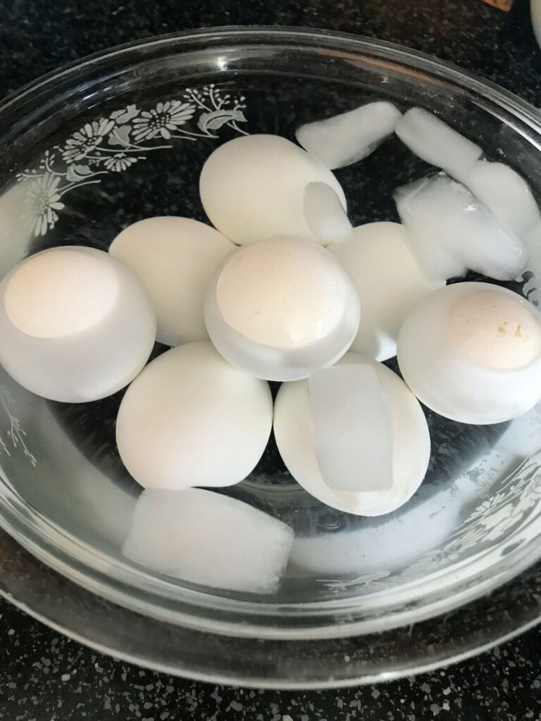 eggs submerged in water